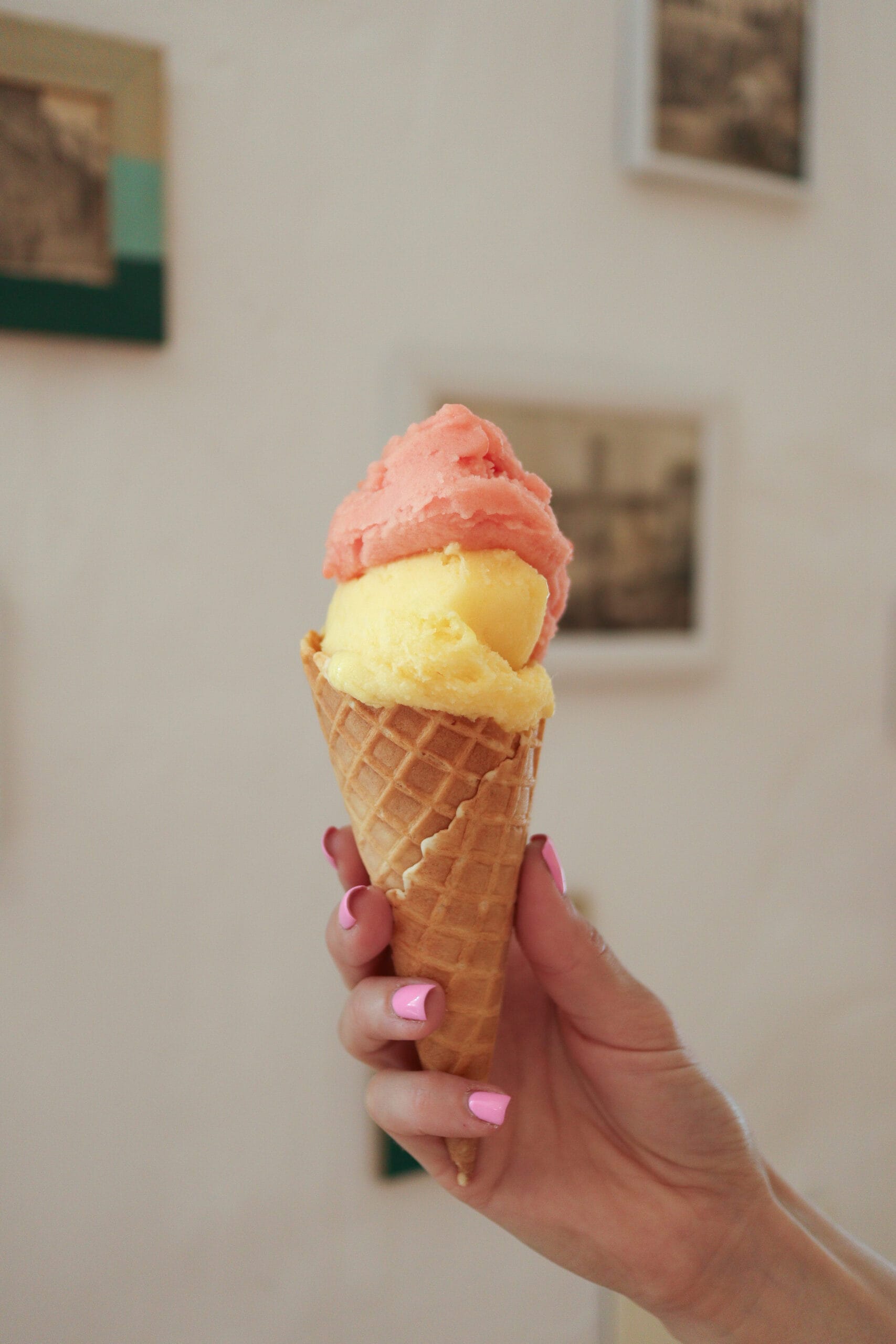 Vegan gelato