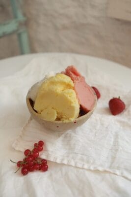Vegan gelato