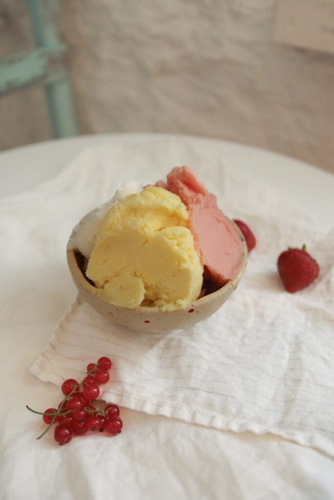 Vegan gelato