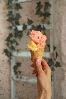 Vegan gelato